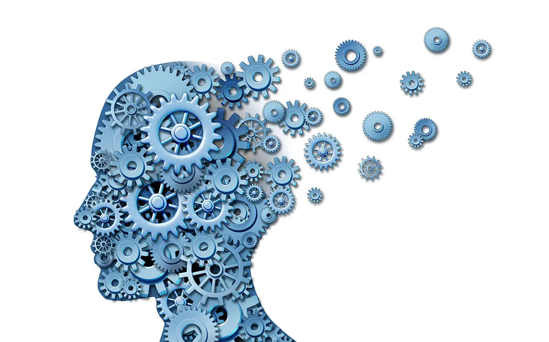 כיצד שינה משפיעה על הזיכרון?