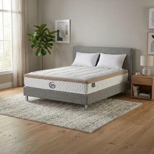 מזרן אריה | Aria