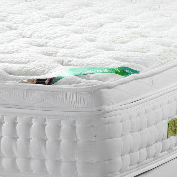 מזרן לויאלטי | Loyalty