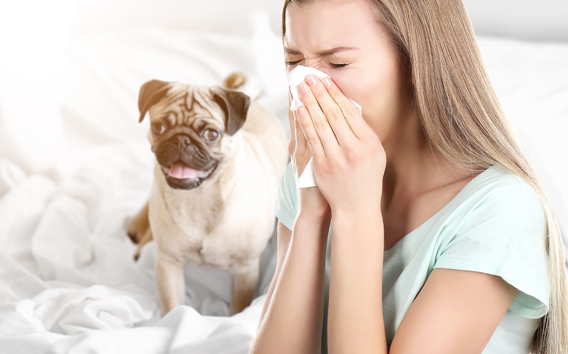 הקשר בין אלרגיה לשינה